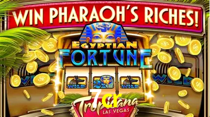 Descubra o Programa VIP da 7cr: Vantagens Exclusivas para Jogadores